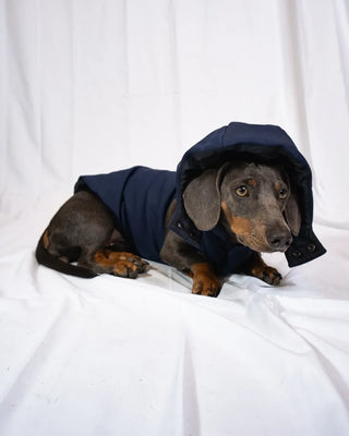 Bomber