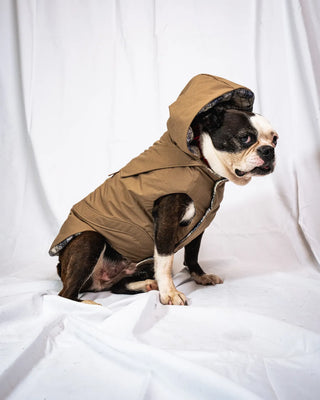 Standard - Trench Tortora