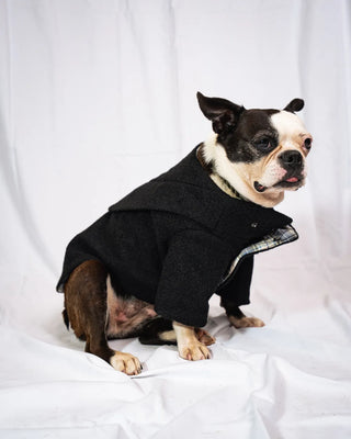 Bulldog - Cappotto Nero
