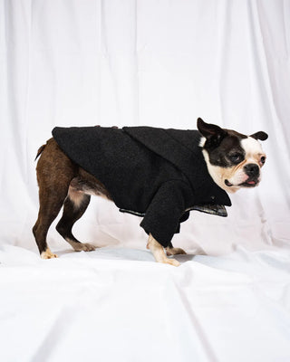 Bulldog - Cappotto Nero