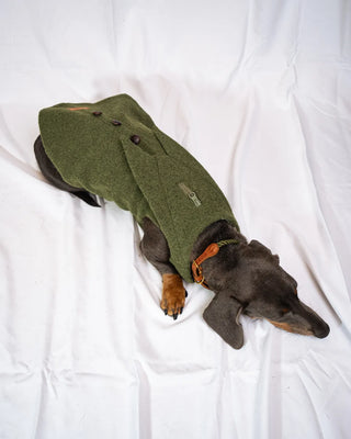 Bassotto - Cappotto Verde