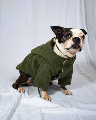 Bulldog - Cappotto Verde