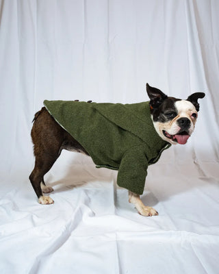 Bulldog - Cappotto Verde