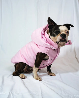 Standard - Bomber Rosa