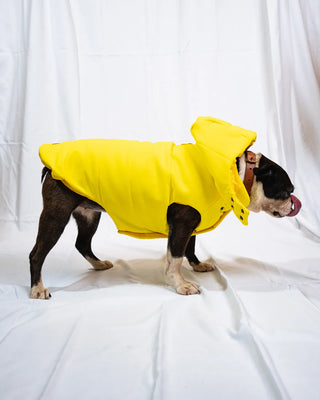 Bulldog - Bomber Giallo
