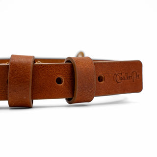 Lilly Cognac - Collare in cuoio (Medio)