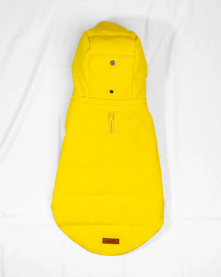 Standard - Bomber Giallo