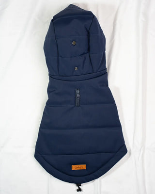 Bassotto - Bomber Blu