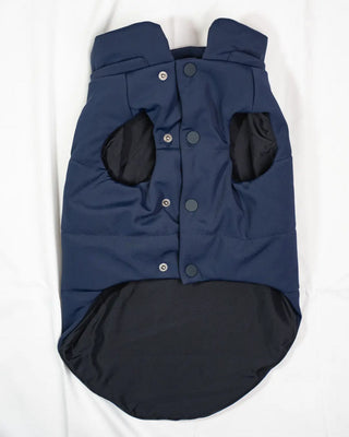 Bassotto - Bomber Blu
