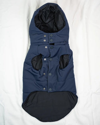 Bassotto - Bomber Blu