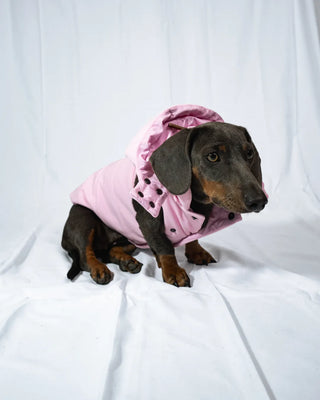 Bassotto - Bomber Rosa